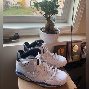 JORDAN 6 RETRO BLUE SIZE 11.5 ✅